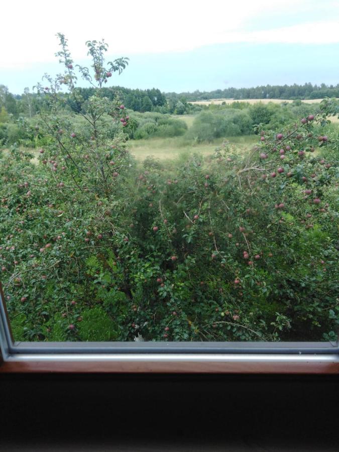Viesu Maja Manturi Hotel Peipini Buitenkant foto